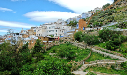 https://www.pexels.com/photo/scenic-view-of-chefchaouen-hillside-architecture-30485126/