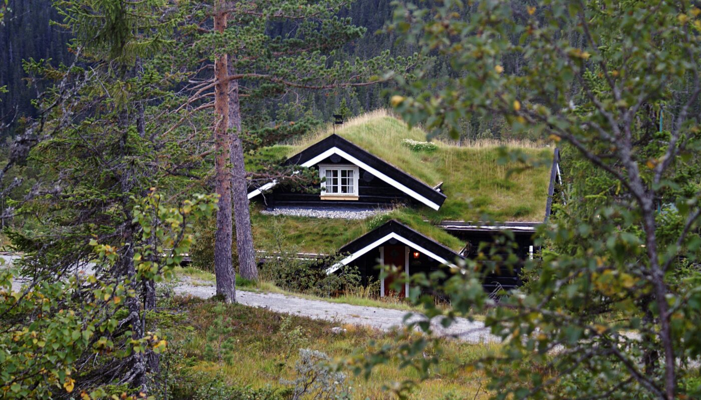 https://www.freepik.com/free-photo/typical-norwegian-rural-cottage-with-breathtaking-landscape-beautiful-greenery-norway_9853067.htm#fromView=search&page=2&position=27&uuid=7b078017-f893-41ab-ad1d-0ef227e80b1b&query=Mountain+Huts+Near+Alpbach%3A+What+Staying+in+One+Feels+Like
