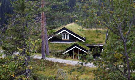 https://www.freepik.com/free-photo/typical-norwegian-rural-cottage-with-breathtaking-landscape-beautiful-greenery-norway_9853067.htm#fromView=search&page=2&position=27&uuid=7b078017-f893-41ab-ad1d-0ef227e80b1b&query=Mountain+Huts+Near+Alpbach%3A+What+Staying+in+One+Feels+Like