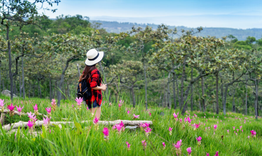 Visiting Alpbach in Spring: Wildflowers, Trails, and Quiet Beauty