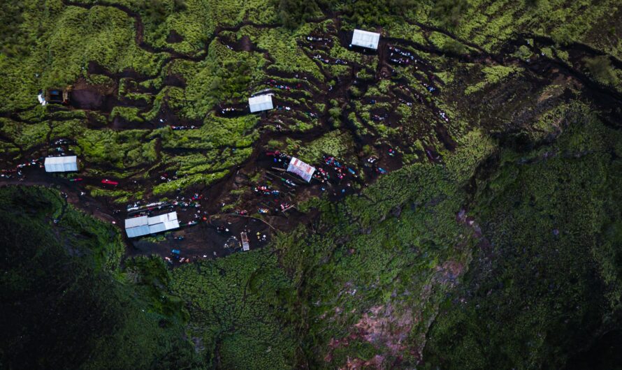 Alpbach by Numbers: Population, Elevation, Tourism Stats