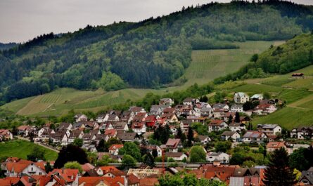 https://www.freepik.com/free-photo/colorful-landscape-view-little-village-kappelrodeck-black-forest-mountains-germany_11343064.htm#from_element=cross_selling__photo