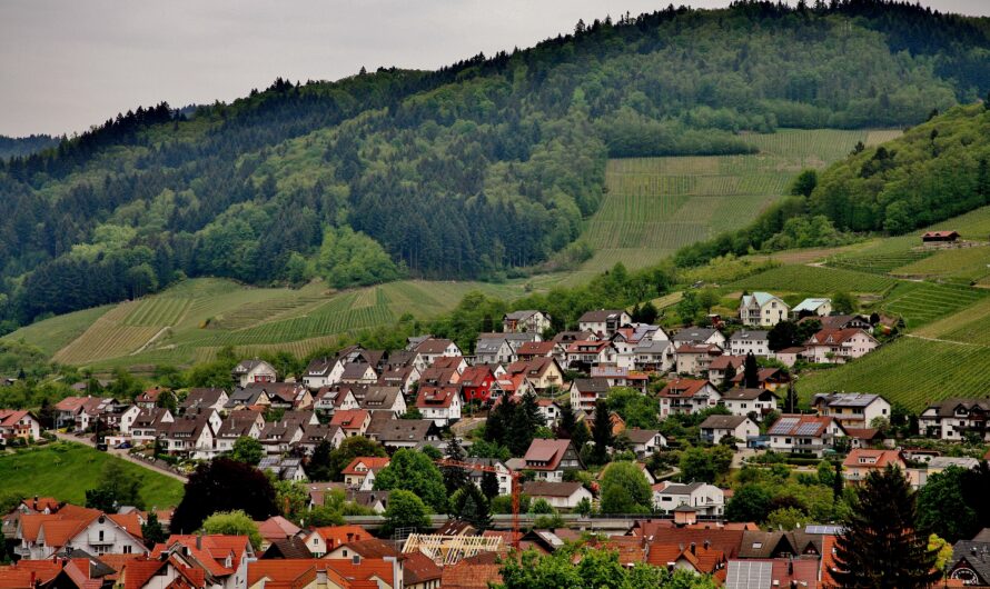 Local Life in Alpbach: What a Day Looks Like for Residents
