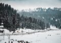 Image source: https://www.pexels.com/photo/landscape-photography-of-gulmarg-11024977/