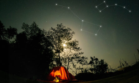 https://www.freepik.com/free-photo/beautiful-constellations-tent-nature_35239953.htm#fromView=search&page=1&position=30&uuid=c27ba573-b5b5-4449-b1d4-c5808a7060ad&query=Understanding+Alpine+Constellations%3A+A+Beginner%E2%80%99s+Guide