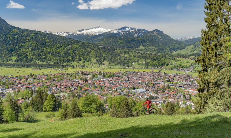 The Economic Impact of the European Forum on Alpbach Village