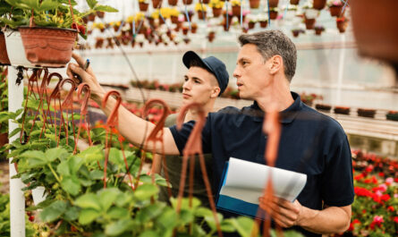 https://www.freepik.com/free-photo/two-workers-communicating-while-checking-growth-plants-plant-nursery_25624092.htm#fromView=search&page=1&position=3&uuid=14586349-75c4-4b18-82ac-662389cd10d6&query=Visiting+Working+Farms+to+Learn+About+Historical+Practices