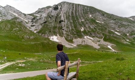 https://www.freepik.com/free-photo/young-man-sitting-wooden-bench-enjoying-view-mountains-grassy-field_15675694.htm#fromView=search&page=1&position=18&uuid=187177d4-f447-4fa6-b218-e00632f756c1&query=7+Experiences+You+Can+Have+in+Alpbach+That+Don%E2%80%99t+Exist+Anywhere+Else