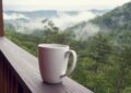 https://pixabay.com/photos/smoky-mountains-coffee-nature-3021394/