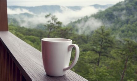 https://pixabay.com/photos/smoky-mountains-coffee-nature-3021394/