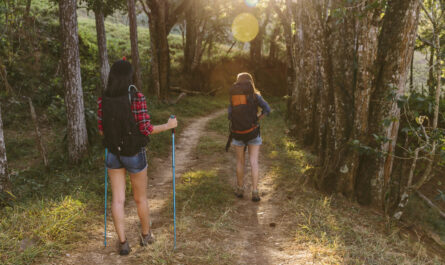 https://www.freepik.com/free-photo/rear-view-two-women-hiking-forest_2586645.htm#fromView=search&page=1&position=17&uuid=4d76335b-ee1d-4522-9df3-e7da2b3e1078&query=Budget-Friendly+Hiking+Routes+Near+the+Village