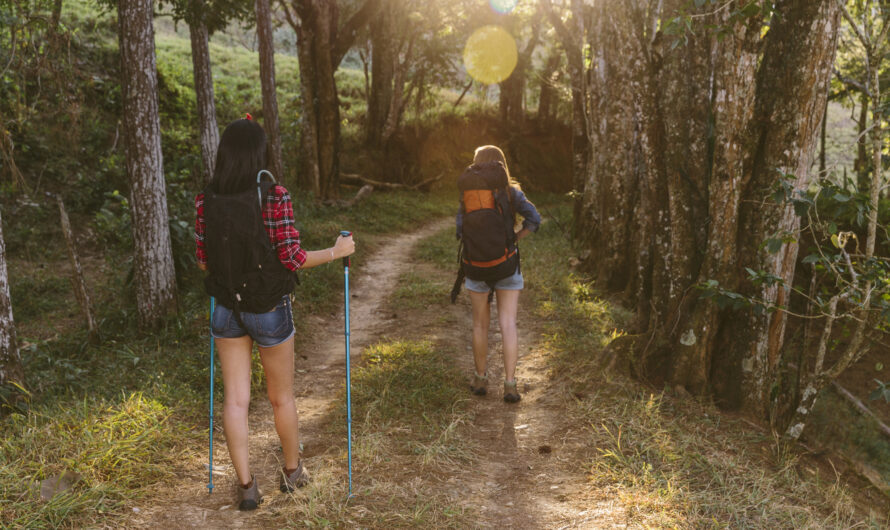 Budget-Friendly Hiking Routes Near the Village