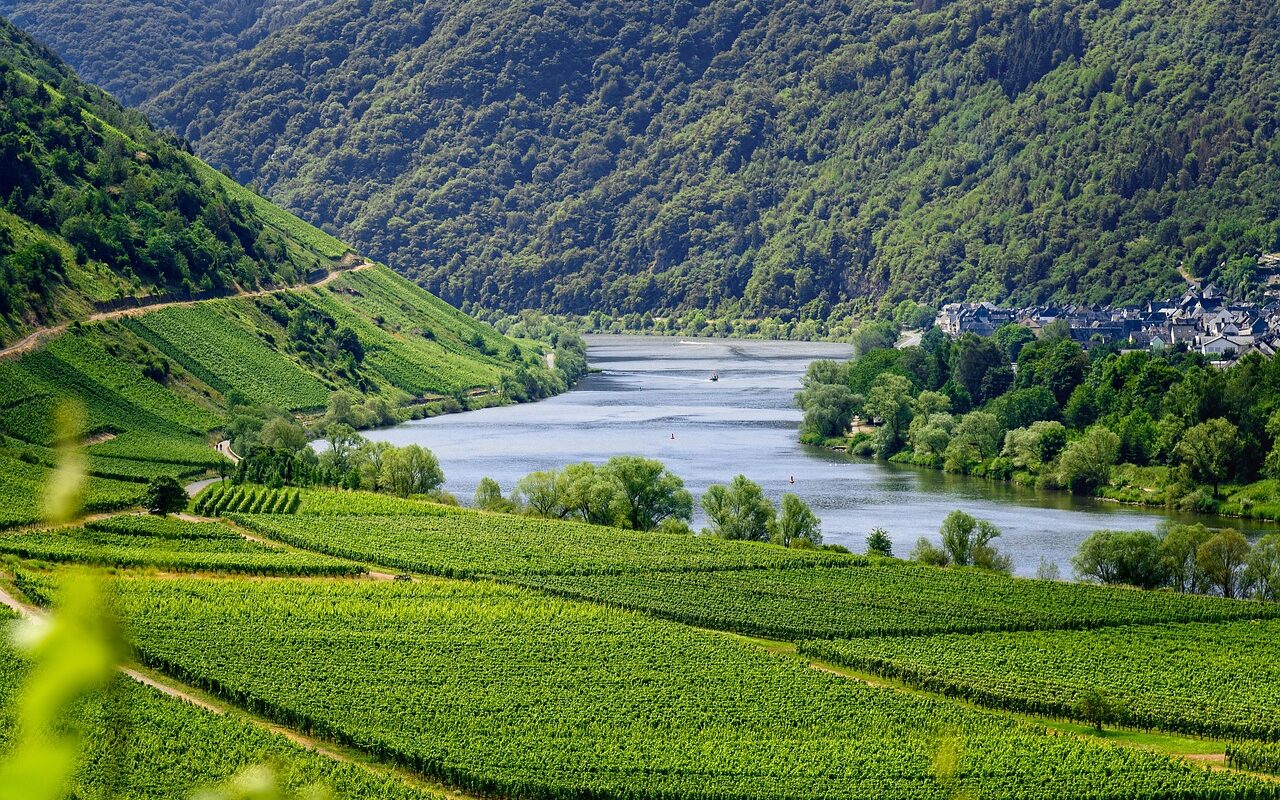 https://pixabay.com/photos/vineyards-vines-wine-moselle-flow-4336787/