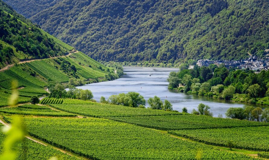 Natural Springs and Rivers That Shape the Alpbach Valley