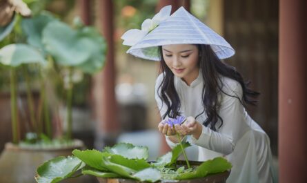 https://pixabay.com/photos/long-life-vietnamese-conical-hats-7213933/