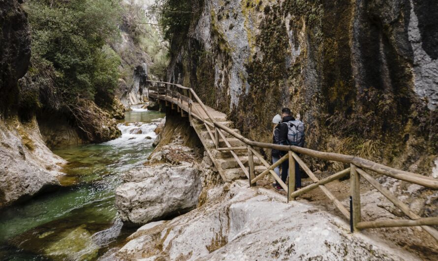 Natural Wonders Near Alpbach Worth the Short Hike