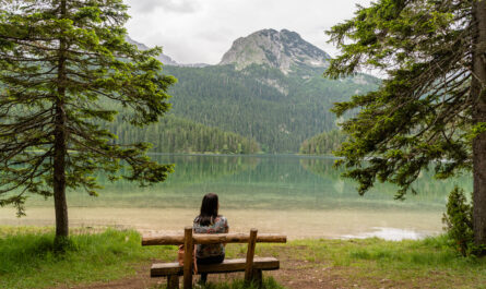 https://www.magnific.com/free-photo/female-sitting-wooden-bench-durmitor-national-park-montenegro_17530048.htm#fromView=search&page=1&position=30&uuid=7a18f545-5361-40cb-932f-b1c02f544b7a&query=The+Most+Peaceful+Stays+in+Alpbach+for+Rest+and+Relaxation