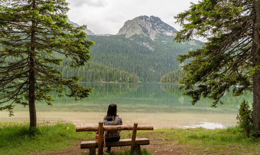 The Most Peaceful Stays in Alpbach for Rest and Relaxation
