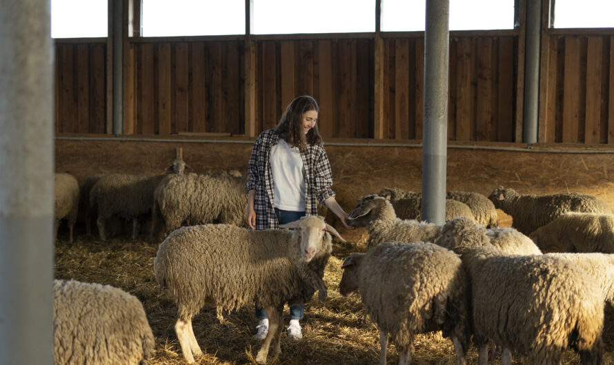 Day Trip to Kramsach’s Museum of Tyrolean Farms