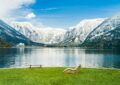 https://www.pexels.com/photo/hallstatt-lake-in-austria-21207394/