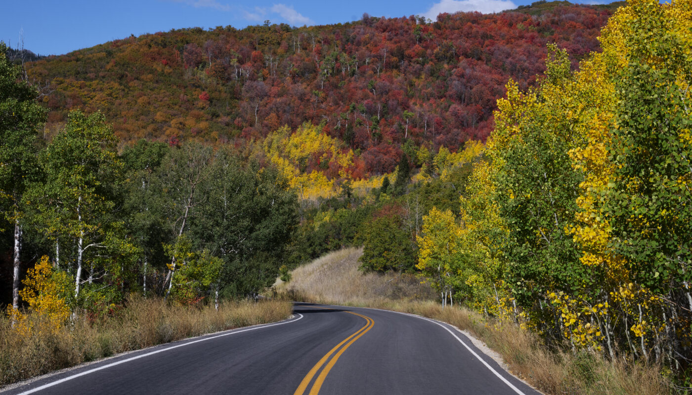 https://www.magnific.com/free-photo/view-nature-vegetation-usa_33757059.htm#fromView=search&page=1&position=3&uuid=665d5ac4-4865-44a7-bbfe-b09f57d0f109&query=A+Scenic+Drive+Through+Wildsch%C3%B6nau+Valley